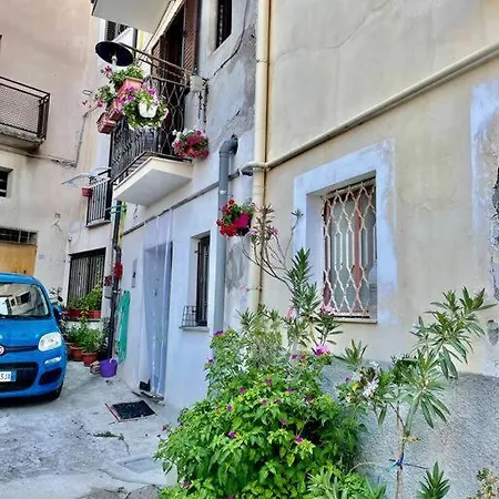 Cozy Studio Close By The Aragones Castle Apartman *